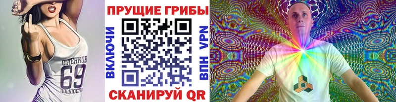 Псилоцибиновые грибы Psilocybe  Кстово 